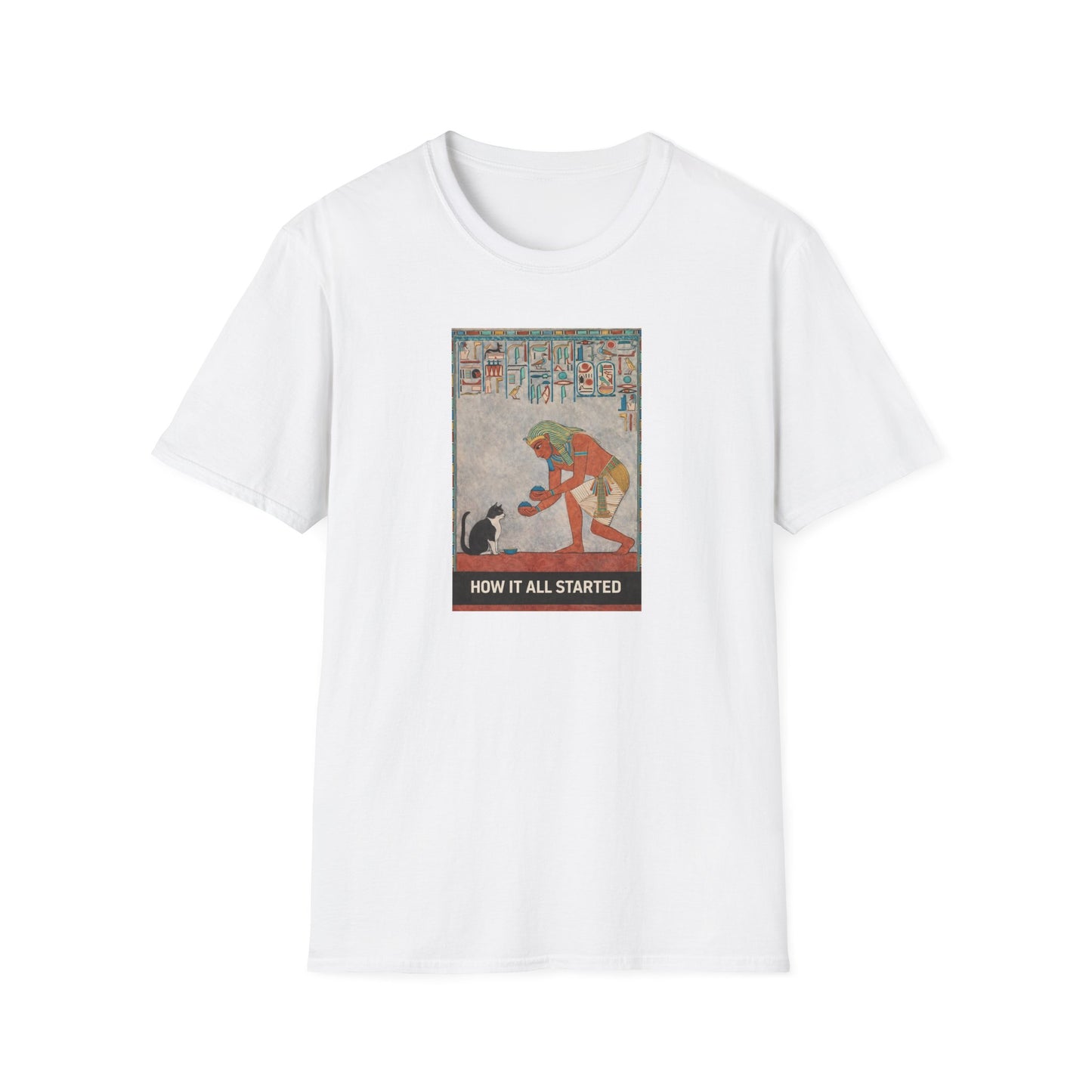The cat thing .....How It All Started T-Shirt