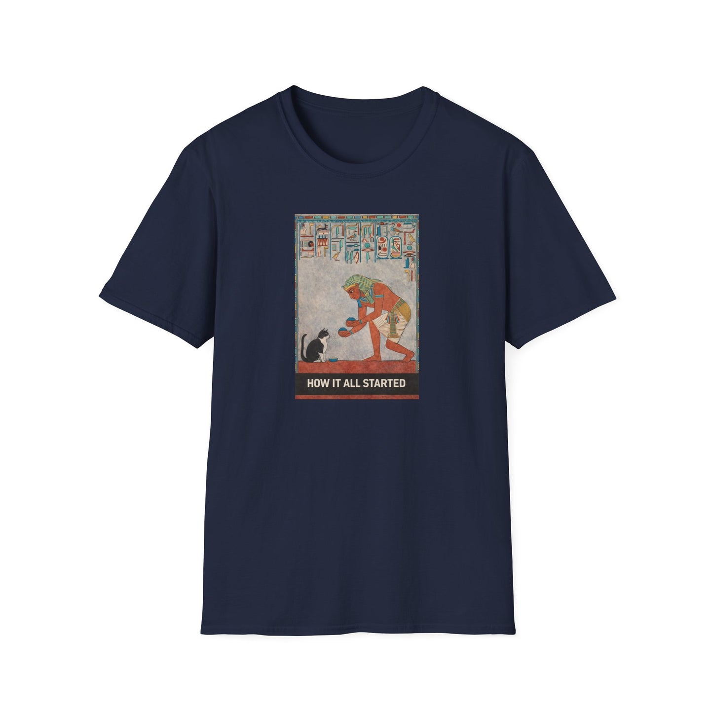 The cat thing .....How It All Started T-Shirt
