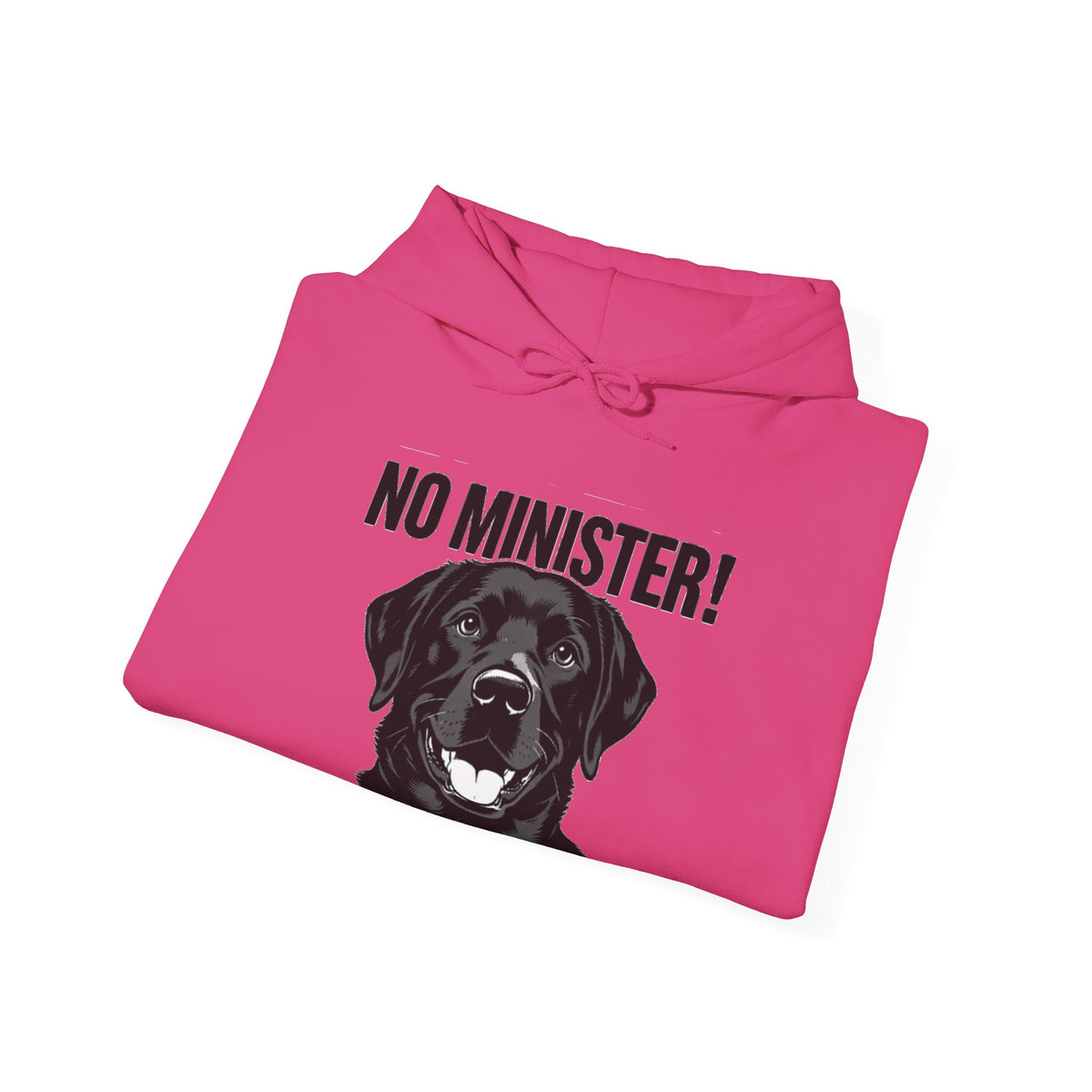 No Minister! Black Labs Matter T-Shirt – Pint, Pub & Labrador Unisex Heavy Blend™ Hooded Sweatshirt