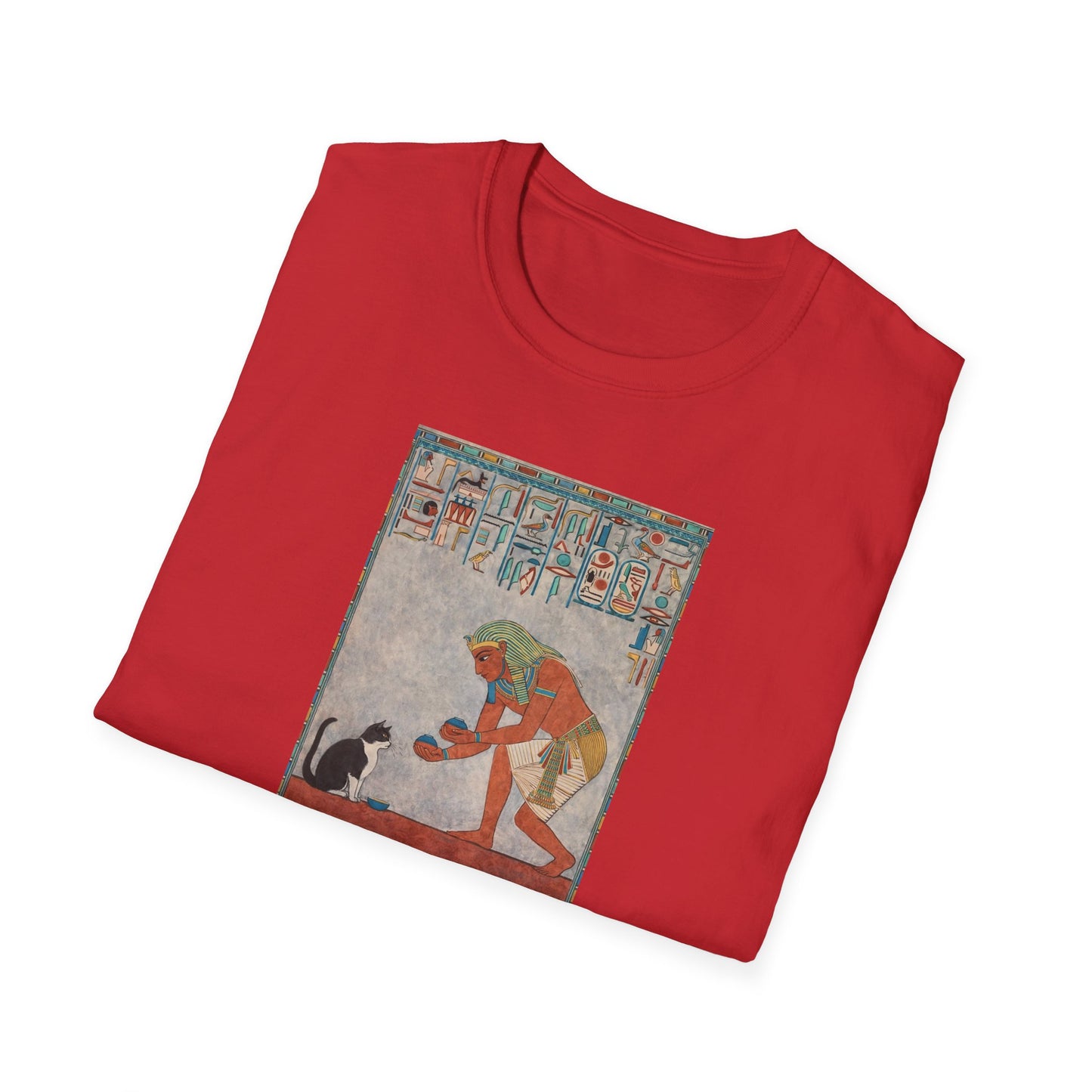 The cat thing .....How It All Started T-Shirt