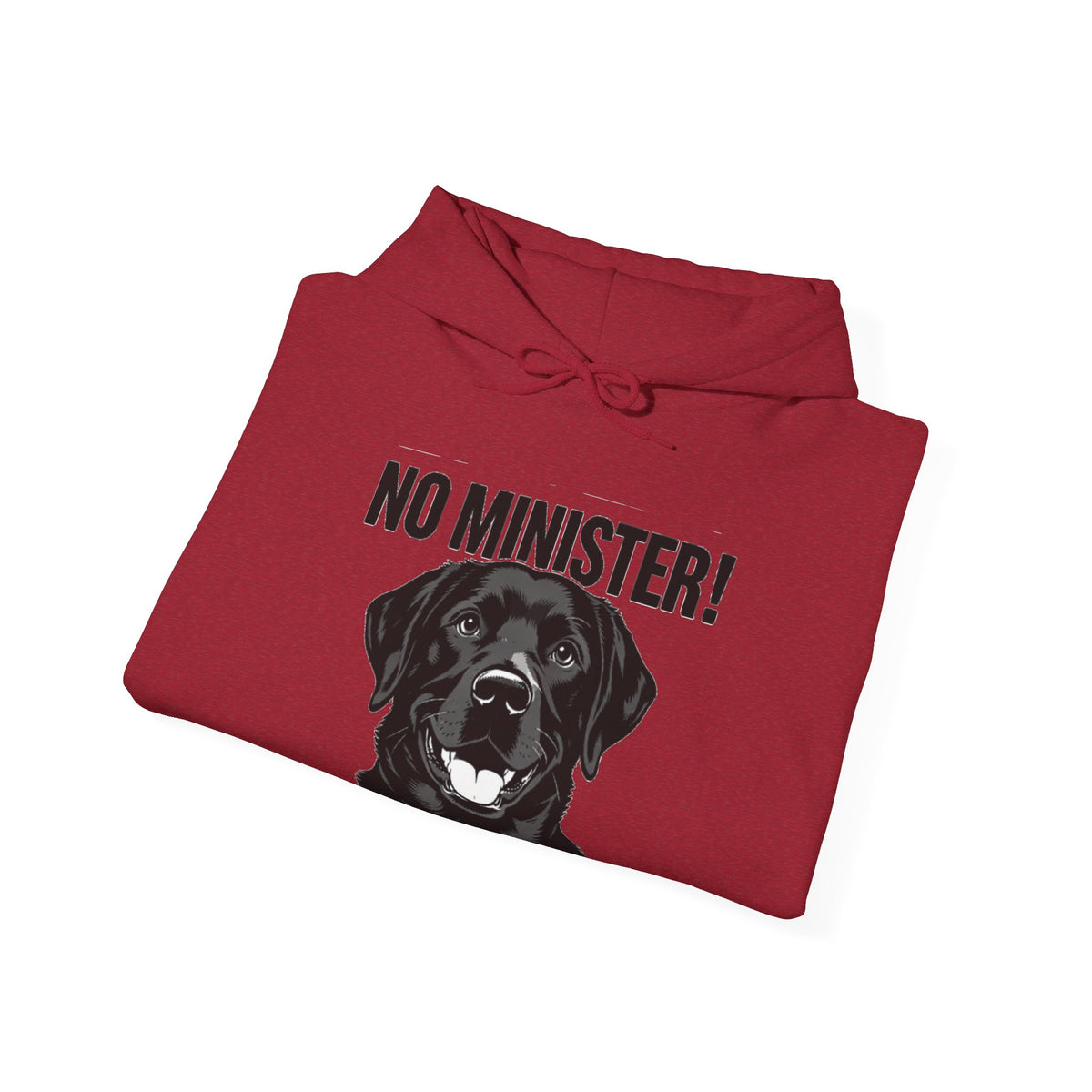 No Minister! Black Labs Matter T-Shirt – Pint, Pub & Labrador Unisex Heavy Blend™ Hooded Sweatshirt