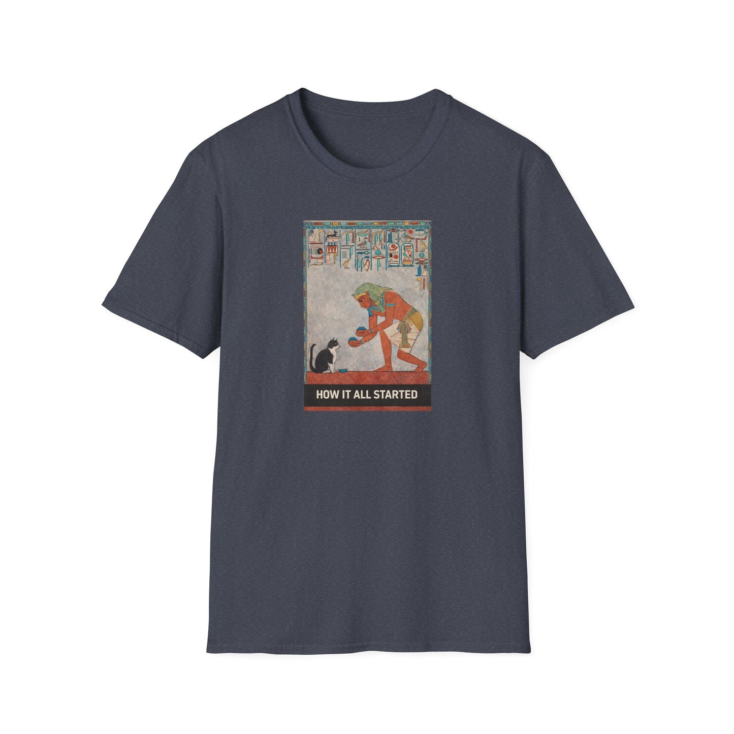 The cat thing .....How It All Started T-Shirt