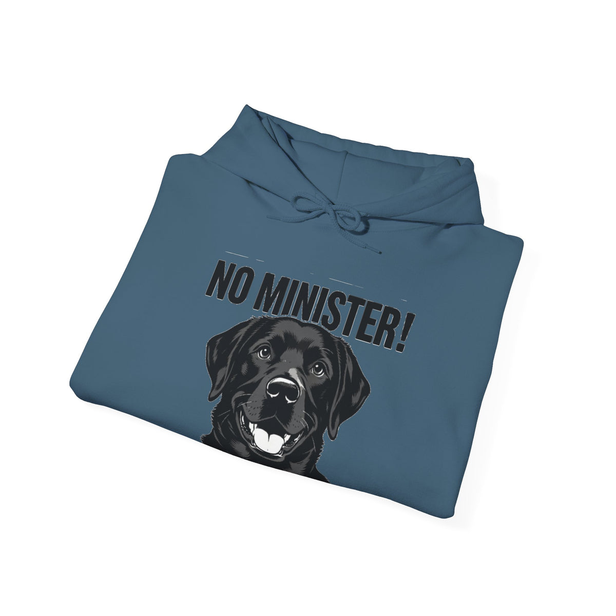 No Minister! Black Labs Matter T-Shirt – Pint, Pub & Labrador Unisex Heavy Blend™ Hooded Sweatshirt