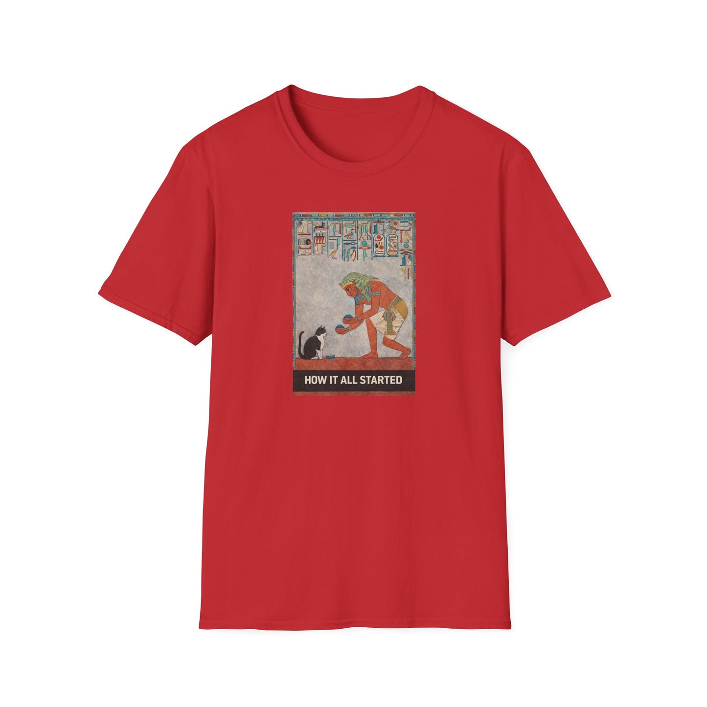 The cat thing .....How It All Started T-Shirt