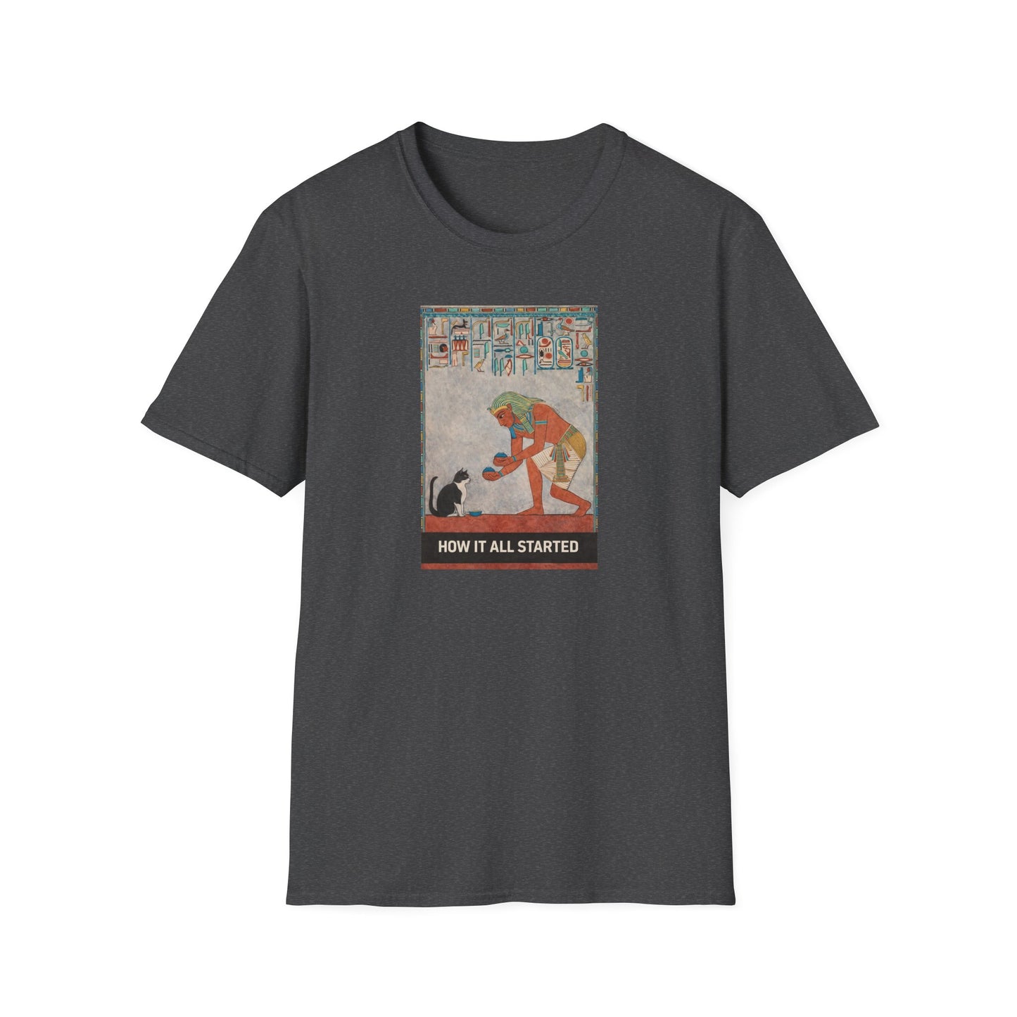 The cat thing .....How It All Started T-Shirt