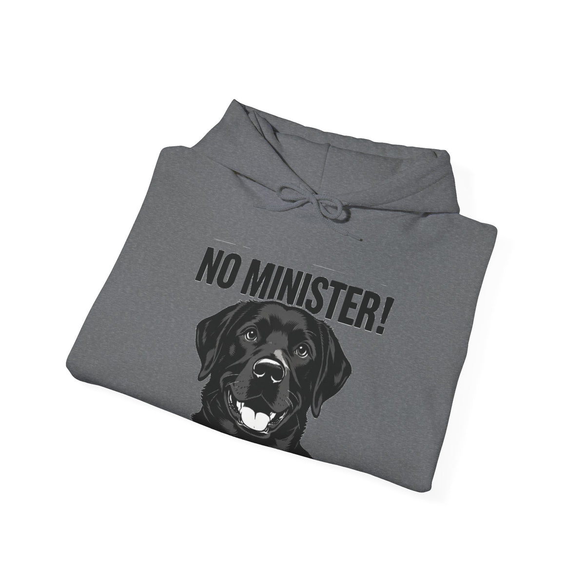 No Minister! Black Labs Matter T-Shirt – Pint, Pub & Labrador Unisex Heavy Blend™ Hooded Sweatshirt